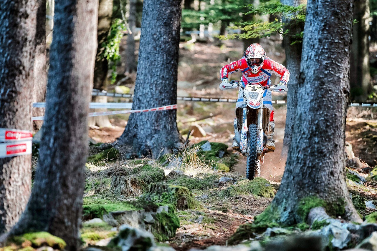 Steve Holcombe: ME LI BEVO TUTTI!